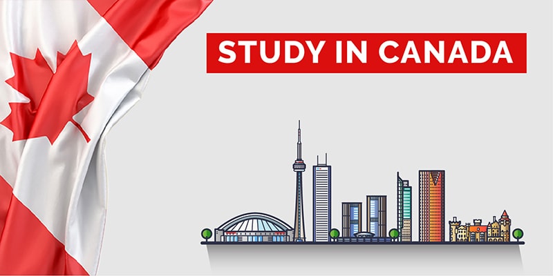 Top Benefits of Choosing AEF Consultancy for Study Abroad